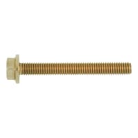 Hexagonal setscrew with flange and reduced head