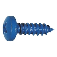 Number plate screw 