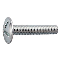 Screw with washer head 