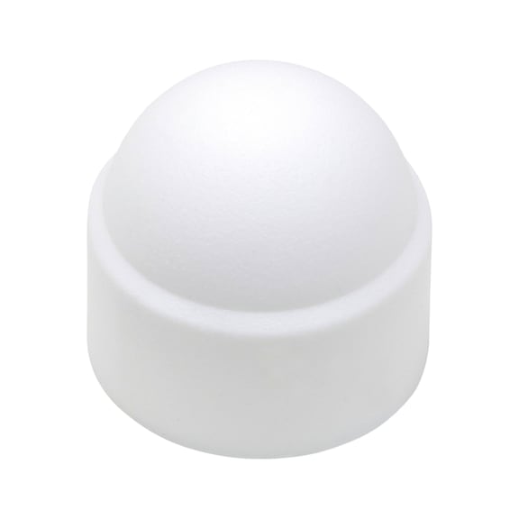 Cover cap For hexagon head bolts/nuts - CAP-PLA-(F.SCR-HEX)-WHITE-WS17-M10