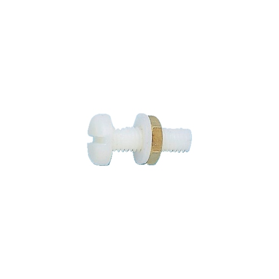 Number plate screw Plastic PA 6.6 - SCR-NOPLT-PANHD-NUT-PA6.6-WHITE-6X20