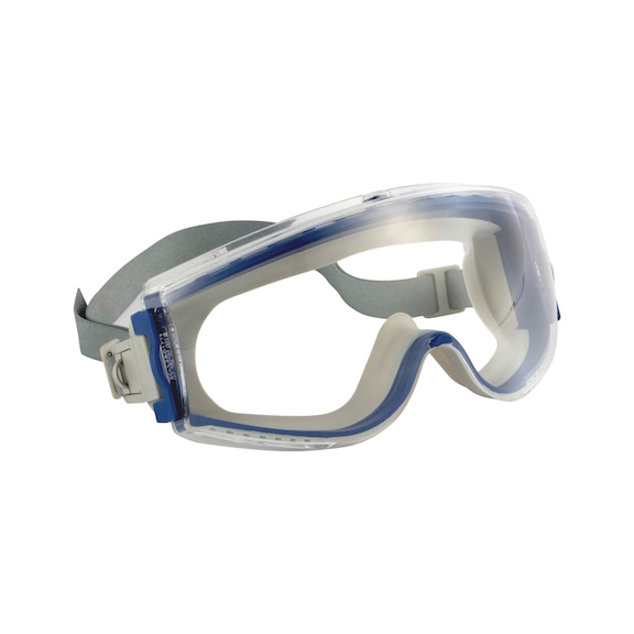 Full-vision goggles