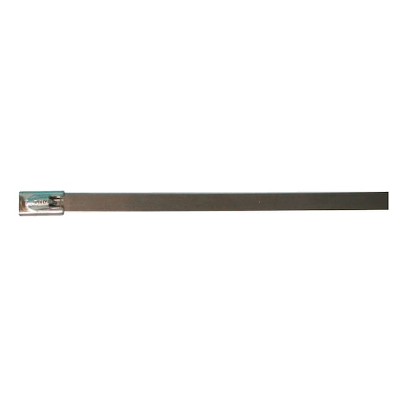 Stainless Steel Cable Ties - 1