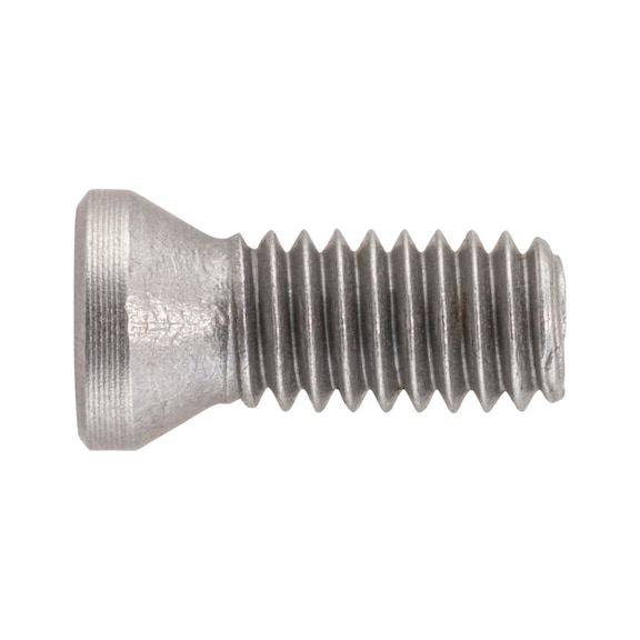 Screw for ISO S clamping system