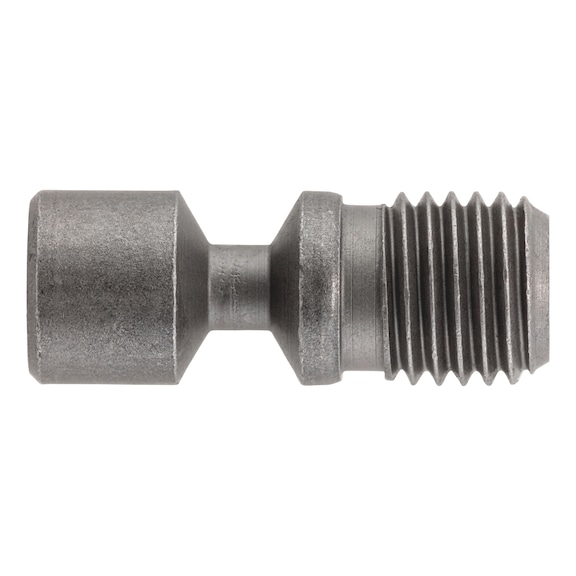 Screw for ISO P clamping system - AY-SCREW-ISO-P-CLMPSYS-VHX0821