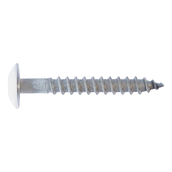 Facade screw with head coating - R9010-PUREWHITE-4.8X38
