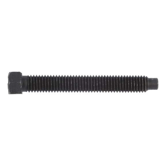 Hexagonal bolt with pin and small hexagon - SCR-HEX-DIN561-8.8-WS10-M8X60