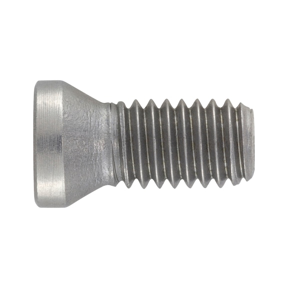 Screw for ISO S clamping system - AY-SCREW-ISO-S-CLMPSYS-FTKA0307