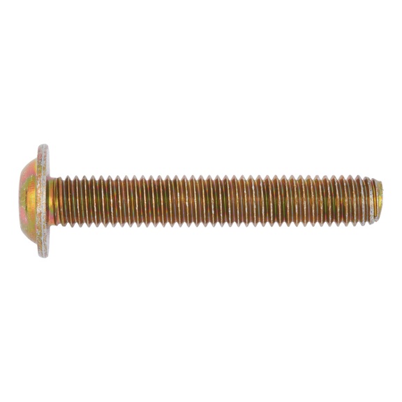 Screw with flattened half round head with collar and hexagon socket - 1