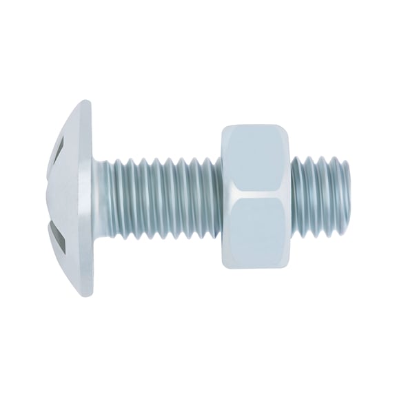Round head screw with slot and nut - 1