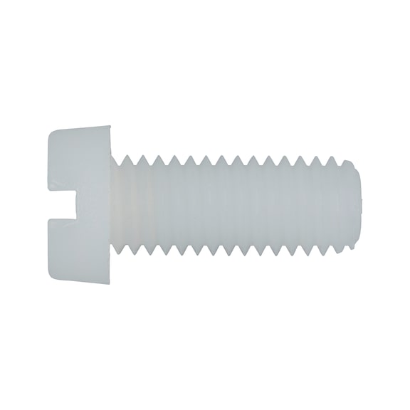 Slotted cheese head screw - 1
