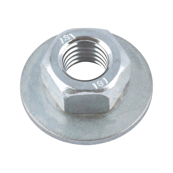 Nut with spring lock washer - 1