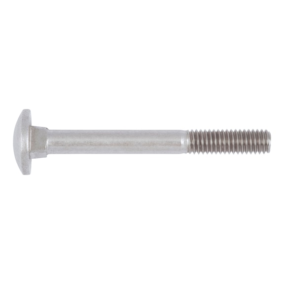 Round head screw with square neck - 1