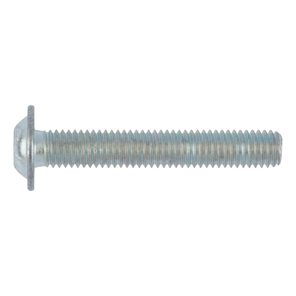 Screw with flattened half round head with collar and hexagon socket - 1