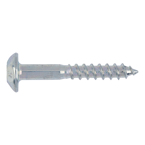 Safety screw - 1