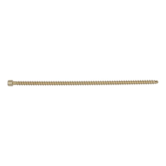 ASSY<SUP>®</SUP>plus FT, cylinder head Timber screw - 1