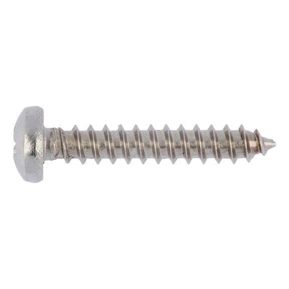 Pan head tapping screw shape C with H recessed head DIN 7981, A2 stainless steel, shape C, with tip - SCR-PANHD-DIN7981-C-H2-A2-3,9X25