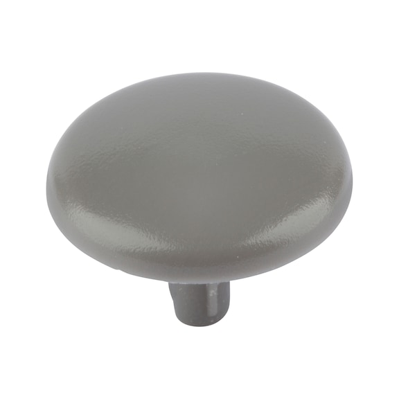 Cover cap for screws with head recess - CAP-(01743)-R7037-DUSTYGREY-D12/2,5
