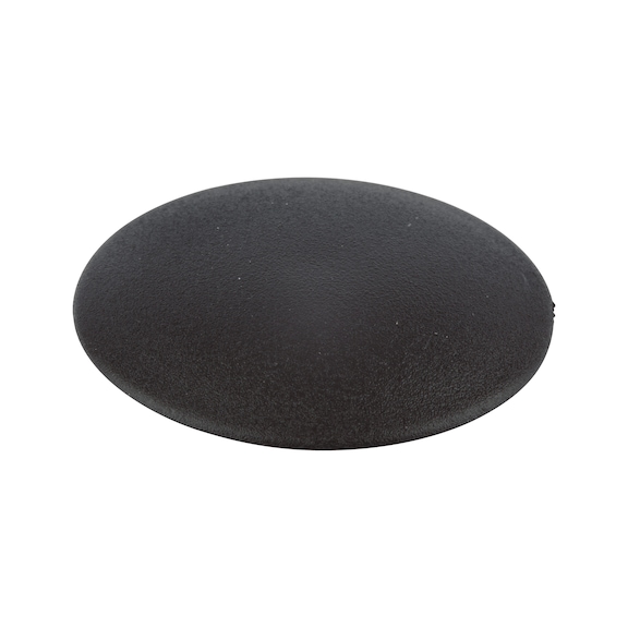 Flat cover cap, for hexalobular socket and AW drive - CAP-FL-AW30-R9005-JETBLACK-D18