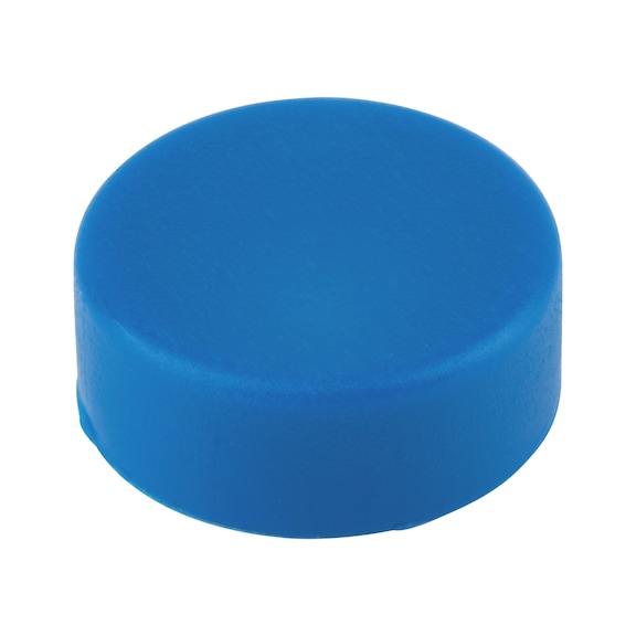 Cover cap for number plate screw Article prefix number 0210 - CAP-(0210)-R5017-TRAFFICBLUE