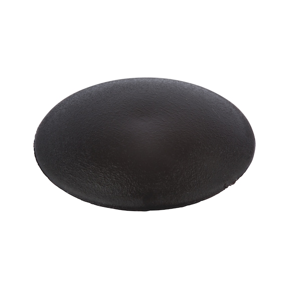 Flat cover cap, for hexalobular socket and AW drive - CAP-FL-AW30-R9005-JETBLACK-D15
