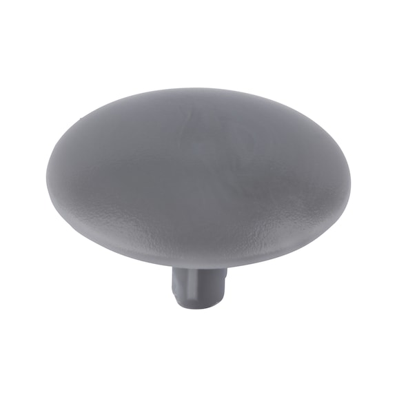 Cover cap for screws with head recess - CAP-(0150)-R7001-SILVERGREY-D15/3