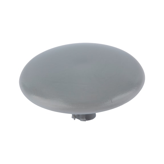 Cover cap for screws with head recess - CAP-(01743)-R7001-SILVERGREY-D15/2,5