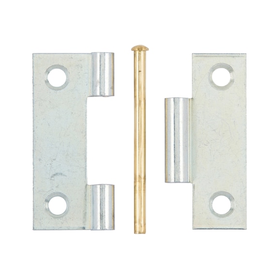 Rolled hinge with loose pin, narrow - 1