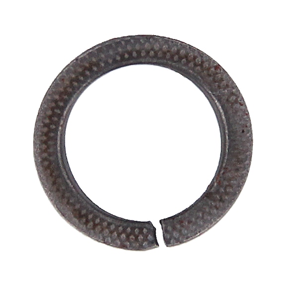 Serrated lock ring Type VSKZ - 3