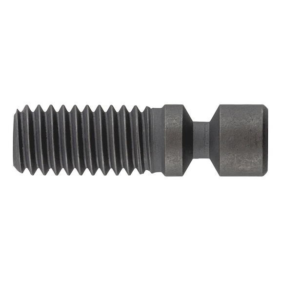 Screw for ISO P clamping system - AY-SCREW-ISO-P-CLMPSYS-VHX0621
