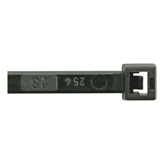 PA66 cable tie 