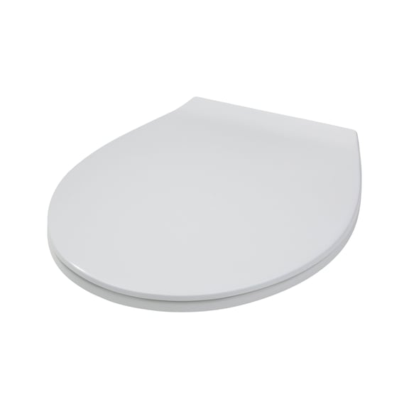 Toilet seat With stainless steel hinges - 3