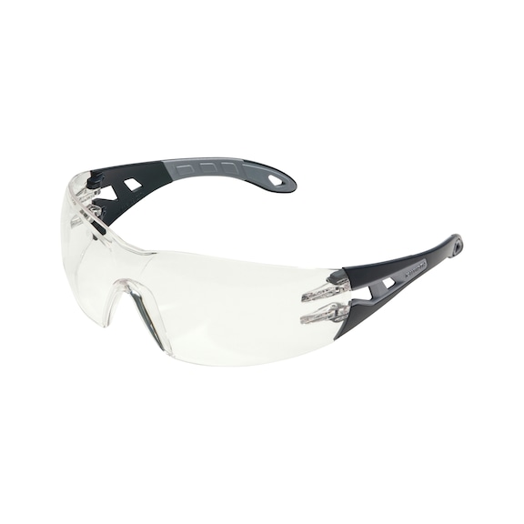Veiligheidsbril Cetus<SUP>®</SUP>S