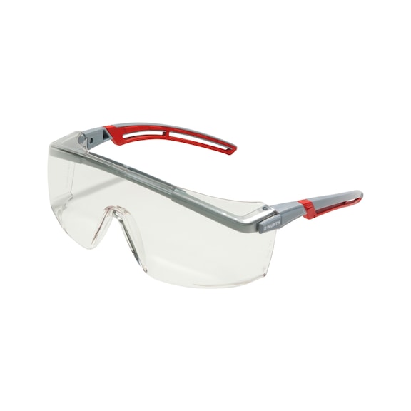 FORNAX<SUP>®</SUP>plus safety goggles