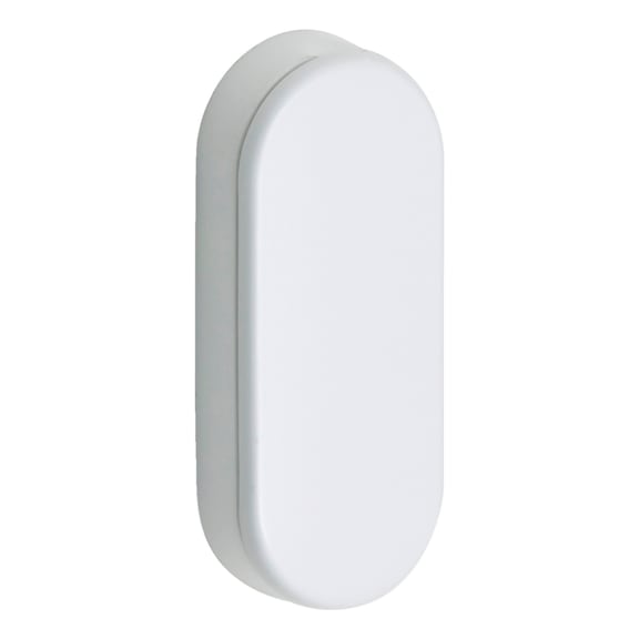Covering rosette For use on windows without window handles - AY-OVAL-DUMMY-ROSETTE-RAL9016-WHITE