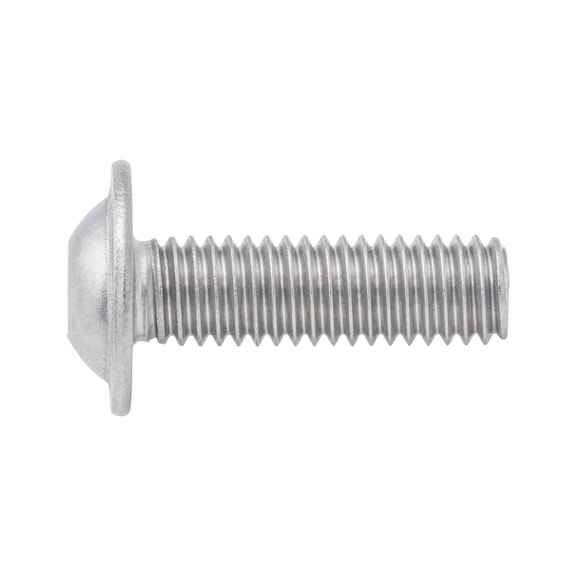 Screw, flattened half round head, with collar and hexagon socket assortment 1,000 pieces - 2