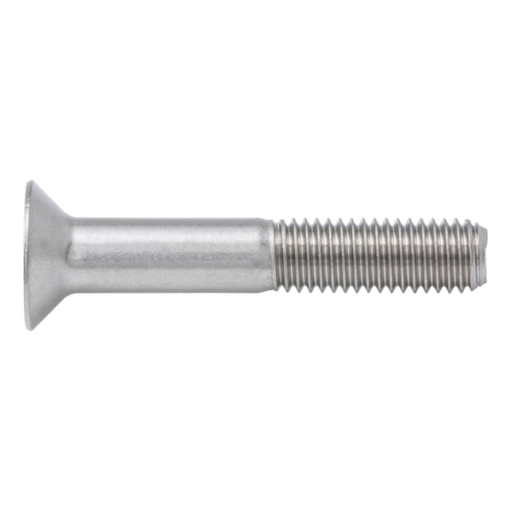 Countersunk head screw with hexagon socket ISO 10642, A2-070 stainless steel, plain - SCR-ISO10642-A2/70-(TX50-PIN)-M10X60