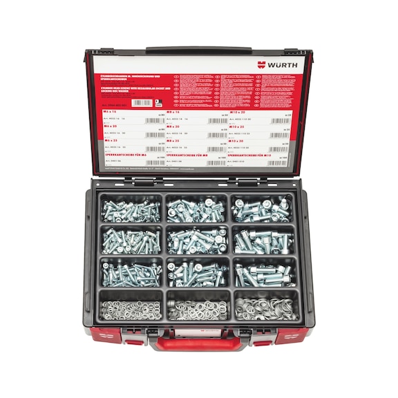 Cheese head screws with hexalobular socket and locking disc spring washers type Z assortment - 1
