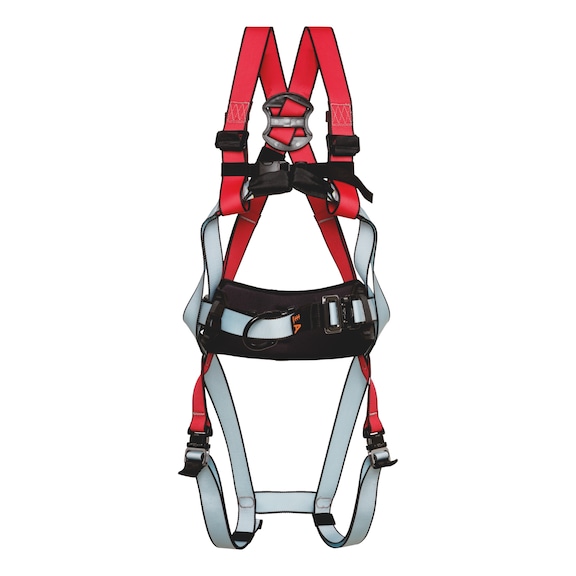 W100 safety harness - 1