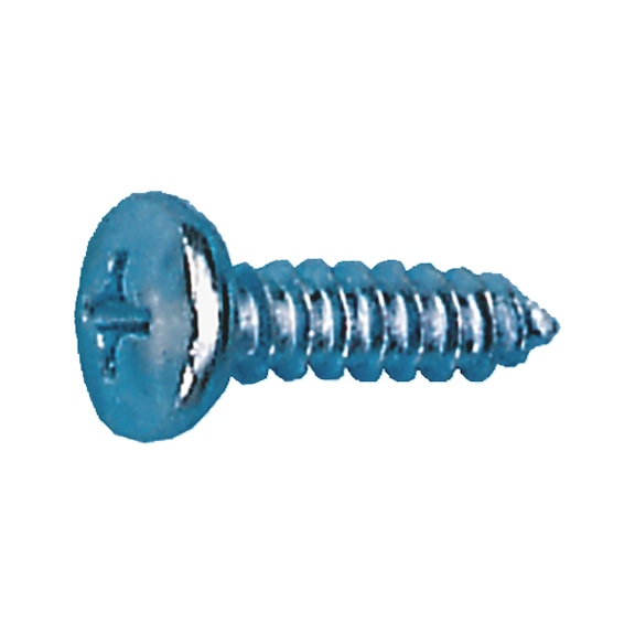 Number plate screw DT