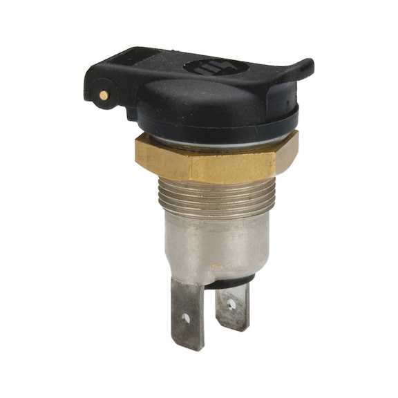 Flush socket for standard plug