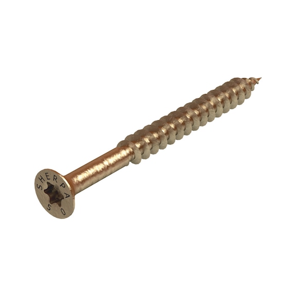 Special system screw For push-in connector - AY-SCR-WOCON-CS-XS/S-TX20-4,5X50/36