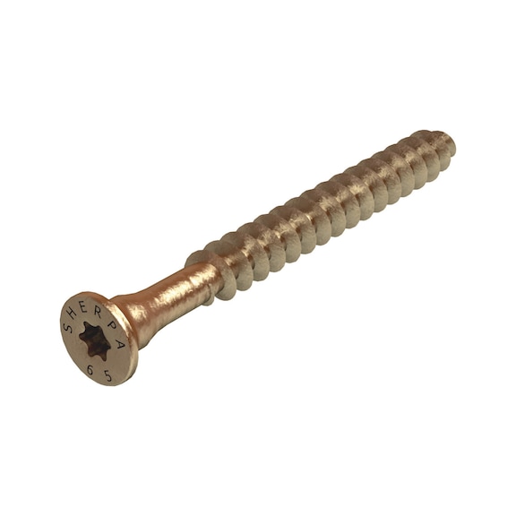Special system screw For push-in connector - AY-SCR-WOCON-CS-M-TX25-6,5X65/50