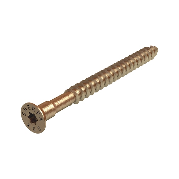 Special system screw For push-in connector - AY-SCR-WOCON-CS-L-TX30-8X100/80