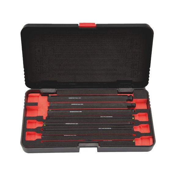 Hex socket bit set ProHold, spherical tip