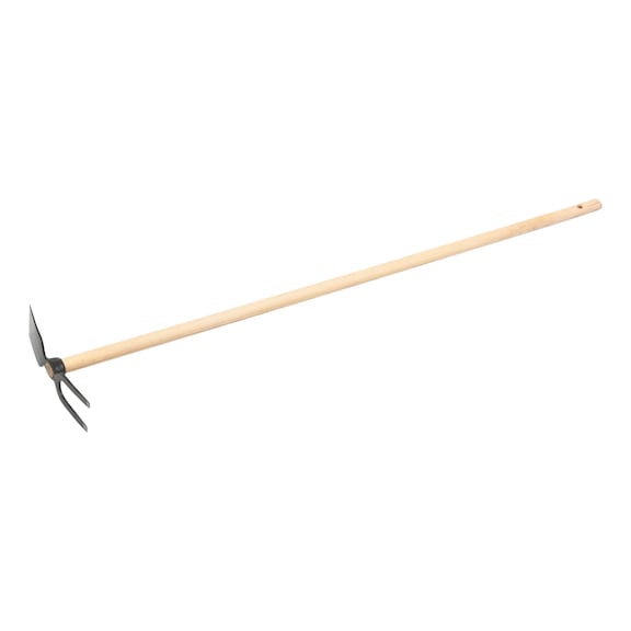 Garden hoe with prongs
