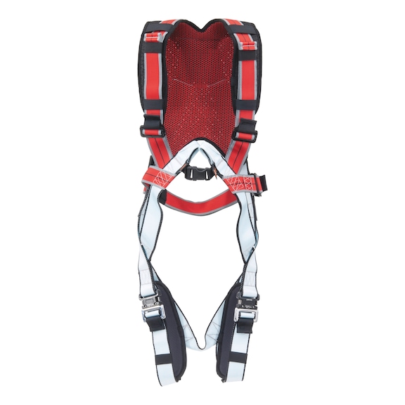 Elastico Pro safety harness - 1