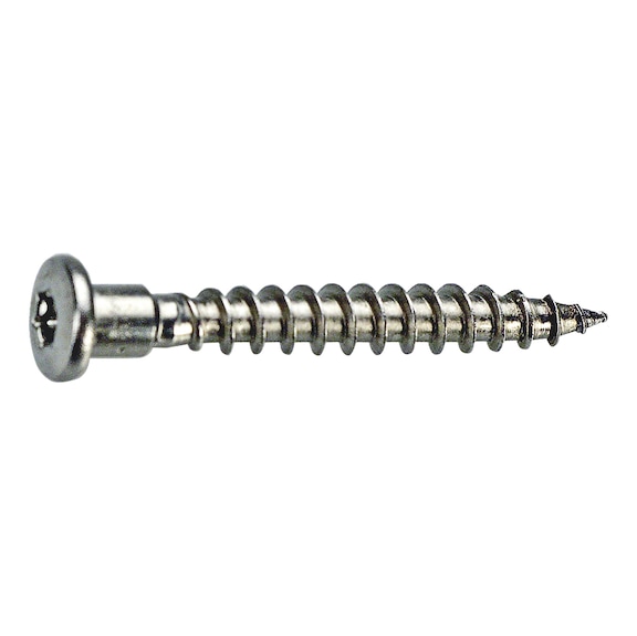 Nailing plate screw SS