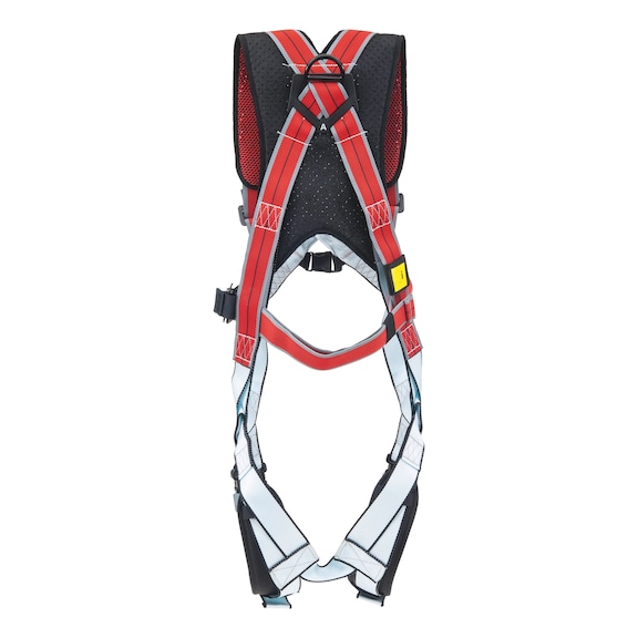 Elastico Pro safety harness - 4