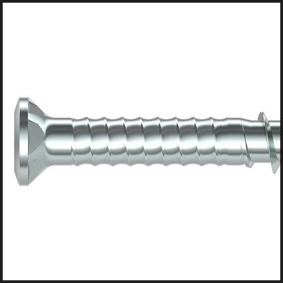 ASSY<SUP>®</SUP>plus 4 A2 TH terrace constr. screw Stainless steel A2 black partial thread TH with grooved shank - 3